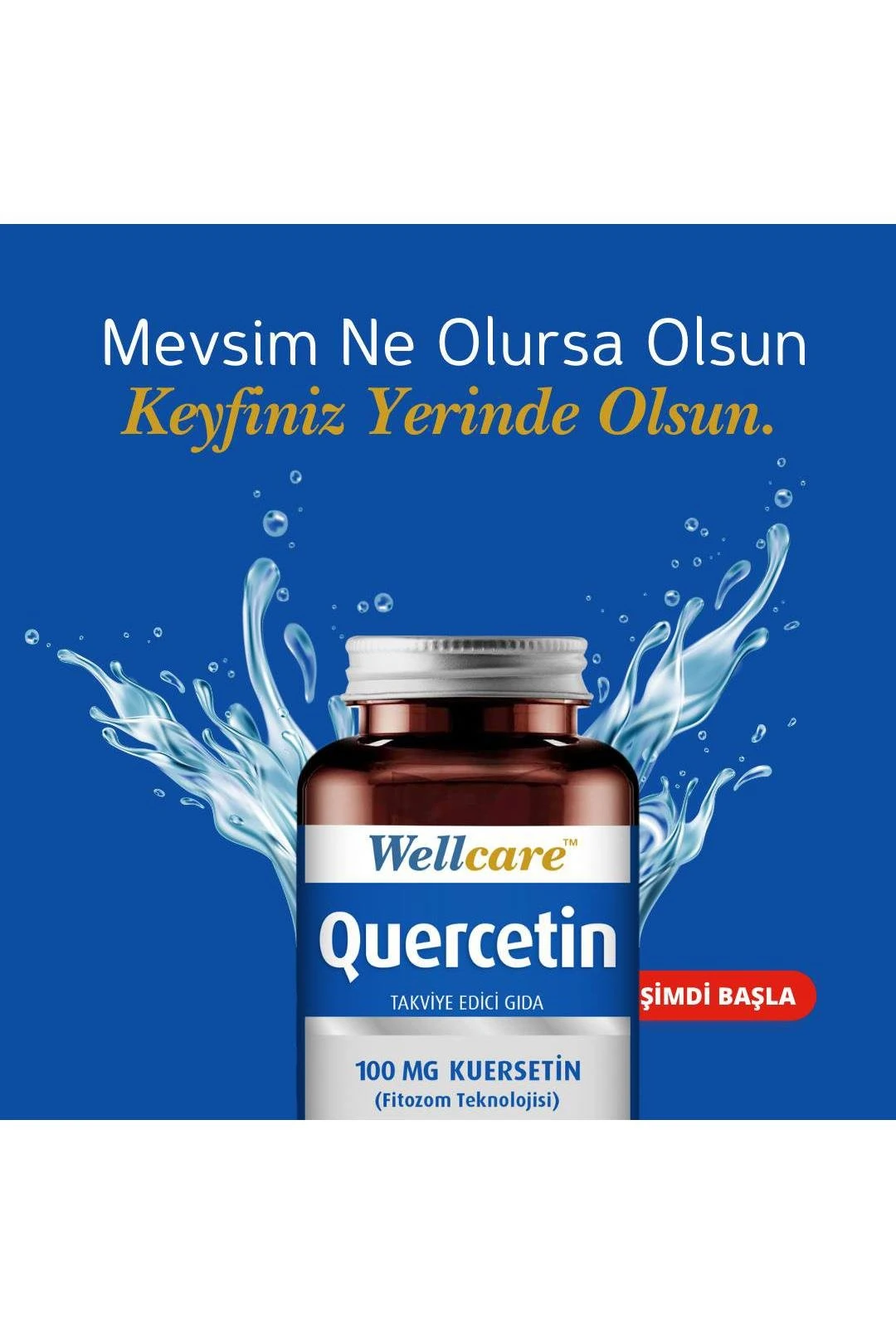 Wellcare Quercetin 60 Kapsül